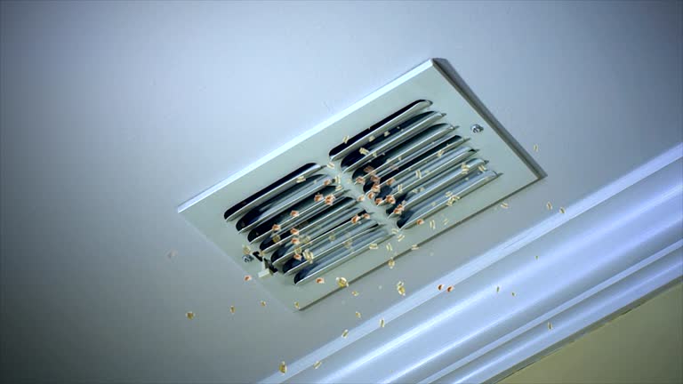 Best Air Duct Cleaning Near Me  in Tomball, TX