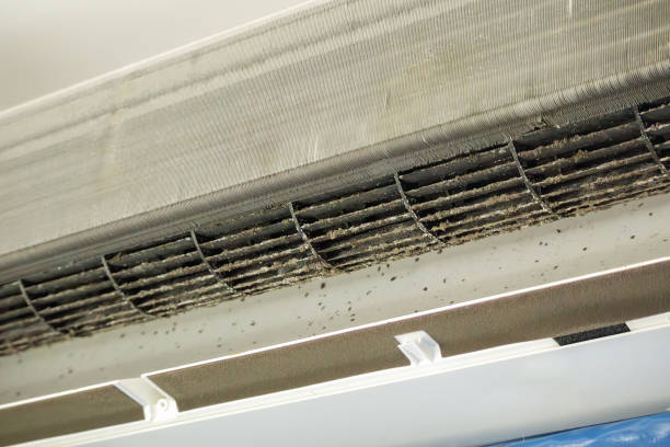 Best Air Vent Cleaning Services  in Tomball, TX